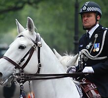 Saddled security by justbmac