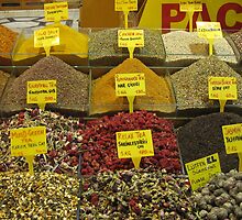 The Egyptian Spice Market by Patricia127