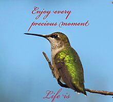 Enjoy every precious moment, life is so short by imagetj