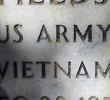 'Nam Memorial by WildestArt