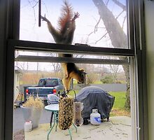 Mission Impossible by Melissa Carlini