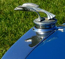 Automotive Bestiary ~ Part Three by artisandelimage