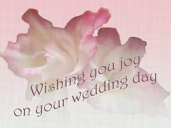 Wedding Wishes Card Gladioli by MotherNature