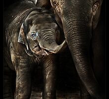 family affair (Mali) by ArtX