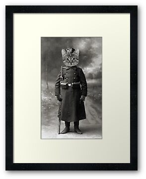 scribbling the cat travels with an african soldier scribbling the cat travels with an african soldier