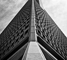 Trans America Building - San Francisco, CA by Topher Gentry