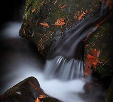 Days Gone By V by Tula Top