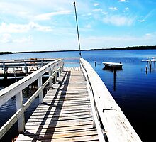 Cockroach Bay,Tampa,Florida by Cindy Rogers