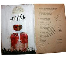 AUTORETRATO DEL AUTOR Y SUS DILEMAS SOBRE SU PROPIA EXISTENCIA by Alvaro Sánchez