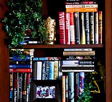 Office Library Shelf by phil decocco