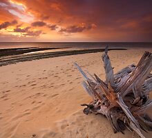 Green Island Sunrise by Greg Sorenson