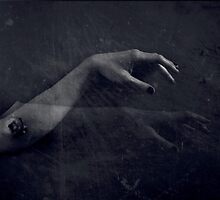 ... by ptica