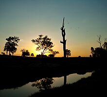 australiana twilight #1 by Michael A. Morrison