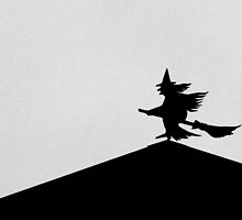 The Witch of 'De Groote Peel' by Hans Bax