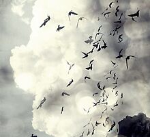 ...this is not a confession. this is worse than a prayer... by ptica