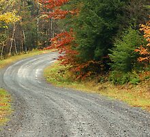 Empty forest road curve at autumn time by Anton Oparin