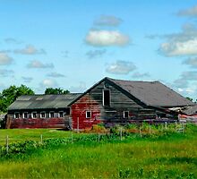 SEEN BETTER DAYS!!! by Larry Trupp