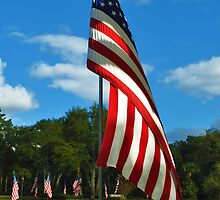The Red, White and Blue by Bill Colman