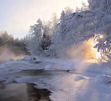 Good Morning Sun by Kari Liimatainen