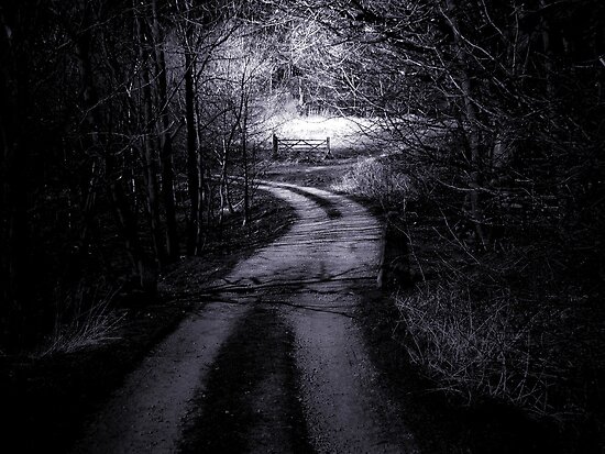 "The Dark Path (b&w)" By MrDeath | Redbubble