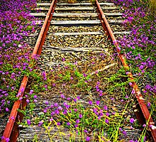 End of the Line by Tracie Louise