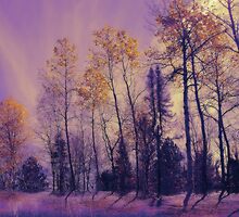 Perception ! by Elfriede Fulda