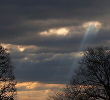Angel Ladder by reindeer