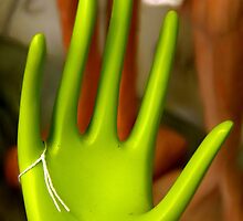 The Helping Hand by Guatemwc