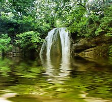 Dingley Dell by Sandra Cockayne