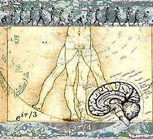 Theory of Presumed Constants by ShopNCF