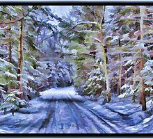 A Fairy Tale Forest with Snowy Evergreen Trees in the Cold Canadian Wilderness by Chantal PhotoPix