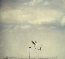 Flight by Sybille Sterk