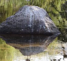 Reflections With Rock And Bird - Reflexiónes Con Roca Y Ave by Bernhard Matejka