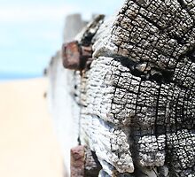 Seen better days by Matt Carlyon