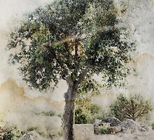 ...We Would All Be Ashamed by Davide Montellanico