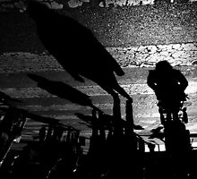 Following the Shadows across .. by Berns