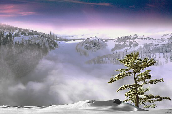 Whistler Frontiers