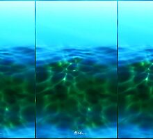 under...the...sea... by LindaR