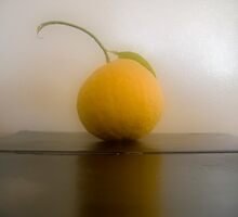 Grapefruit Reflected by Jing3011