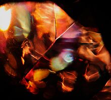 Lights 4 by Laura Lawrence by Laura Lawrence