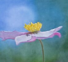 Sacred dance by Maria Ismanah Schulze-Vorberg