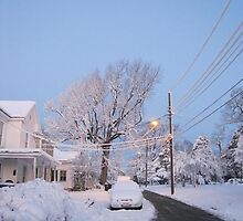 Feb. 19 2012 Snowstorm 80 by dge357