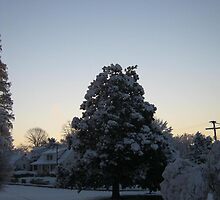 Feb. 19 2012 Snowstorm 103 by dge357