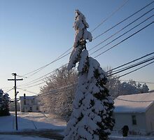 Feb. 19 2012 Snowstorm 112 by dge357