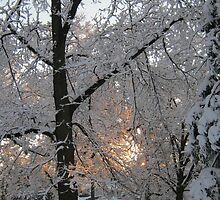 Feb. 19 2012 Snowstorm 132 by dge357