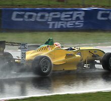 Felipe Nasr in the Wet by Rhiannon D'Averc