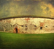 Finding History at Fort Macon by Lea Weikert
