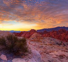 Morning Radiance by James Marvin Phelps
