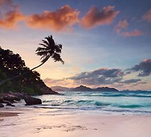 Anse Sévère by Michael Breitung
