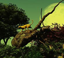 Cat on the hunt. by alaskaman53